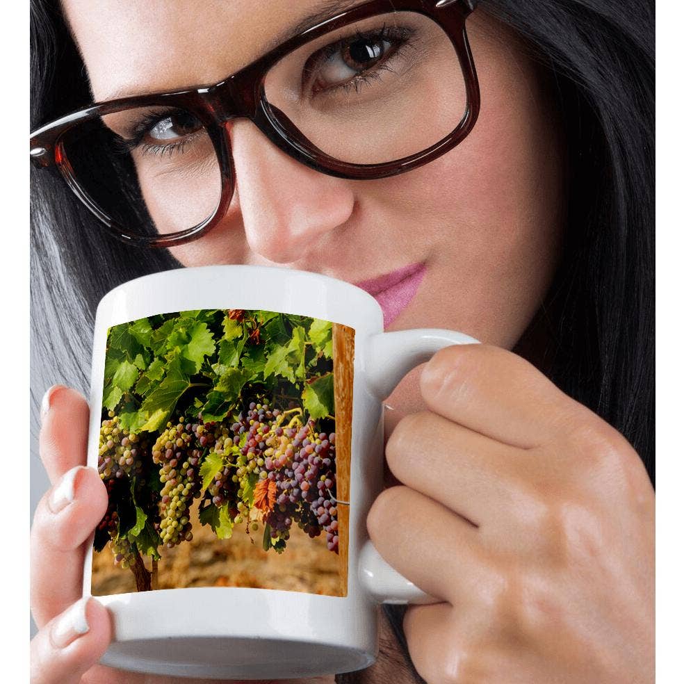 3dRose - Wholesale Coffee Mug - 3dRose, Usa, Washington, Yakima Valley. Wine grapes in veraison., Mug9