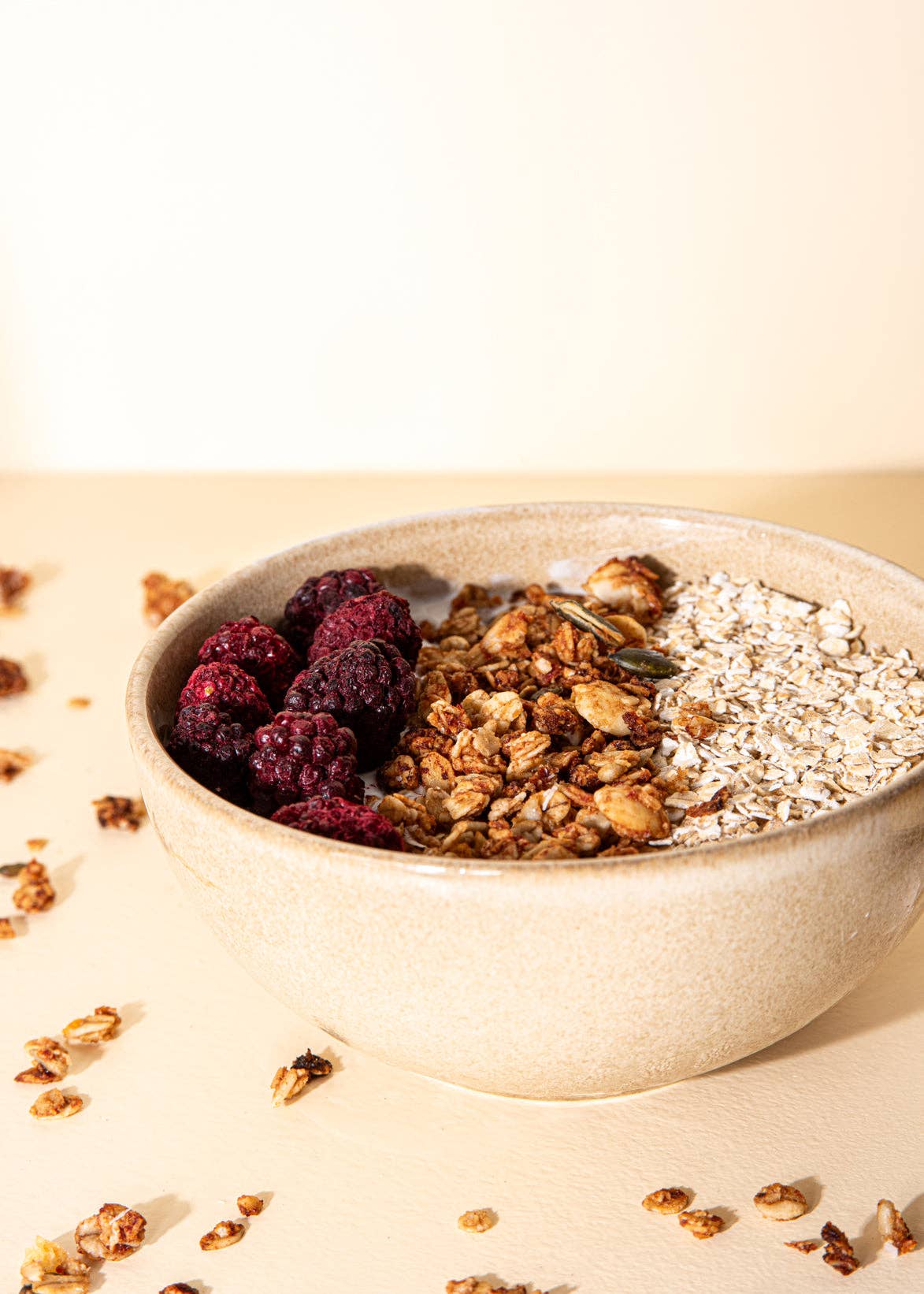 AZADA - Wholesale Dried/Dehydrated Fruit - Mora liofilizada6