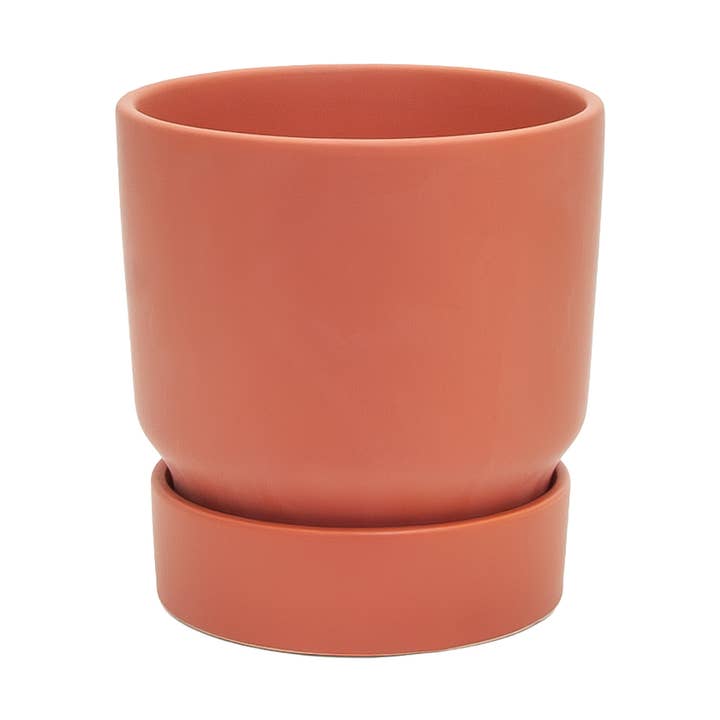 Small Stockholm Sienna for wholesale by Potted