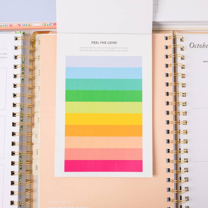 The Daily Grace Co - Wholesale Sticker - Goal Setting Sticker Book 1st Edition3