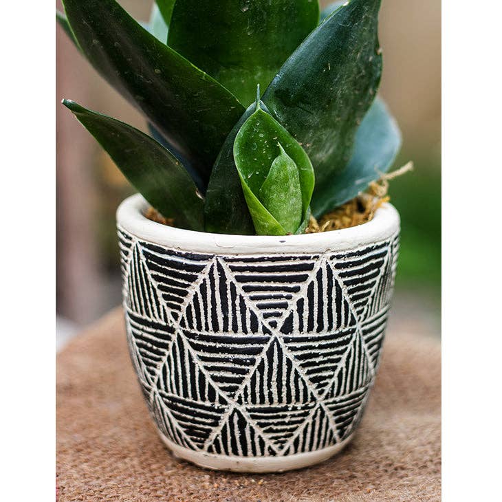 Rustic Reach - Wholesale Plant Pot - Geometric Art Concrete Flower Pot8