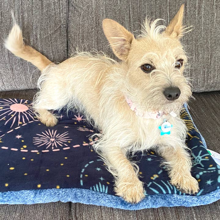 Handmade Pet Bed/Mat Galxey for wholesale by Screaming Pickles