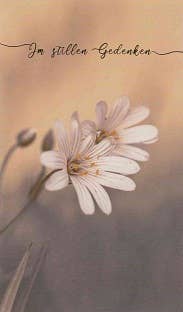 Michel-Verlag GmbH - Wholesale Sympathy Card - Stylish, cheap sympathy card1