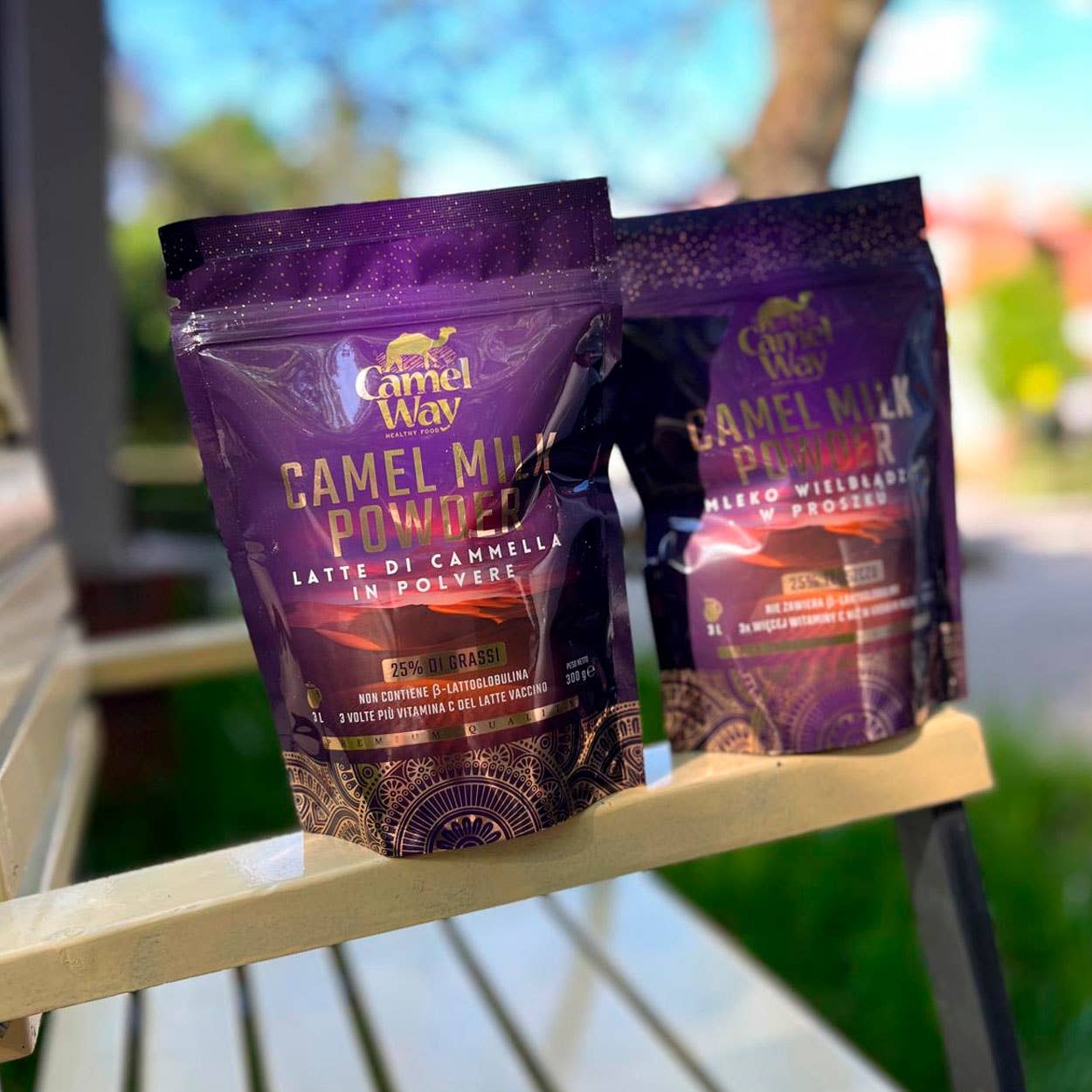 CamelWay – wholesale Protein/superfood powder – Camel Milk Powder 300g (6-Pack) - Premium EU Certified2