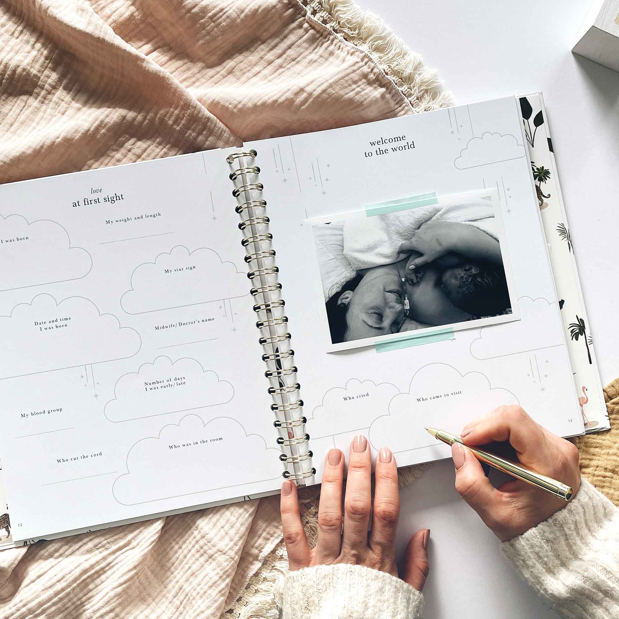 Blush And Gold – wholesale Memory book – Child & baby – My Baby Book (Jungle)  luxury gift for new parents + box7