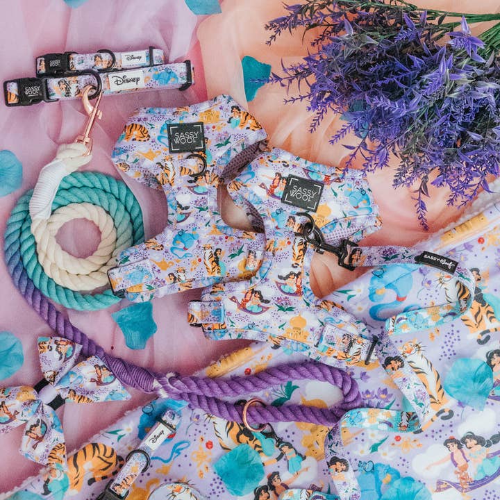 SASSY WOOF - Wholesale Pet Harness - Dog - Harness Three Piece Bundle - Disney's Jasmine
