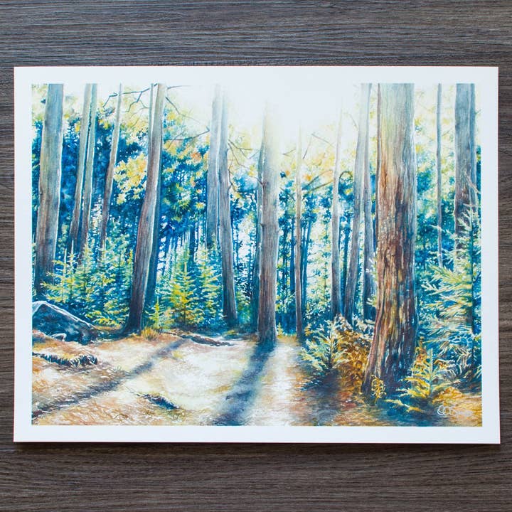 Dolly Sods Forest Shadow Print for wholesale by Octavia Spriggs Fine Art
