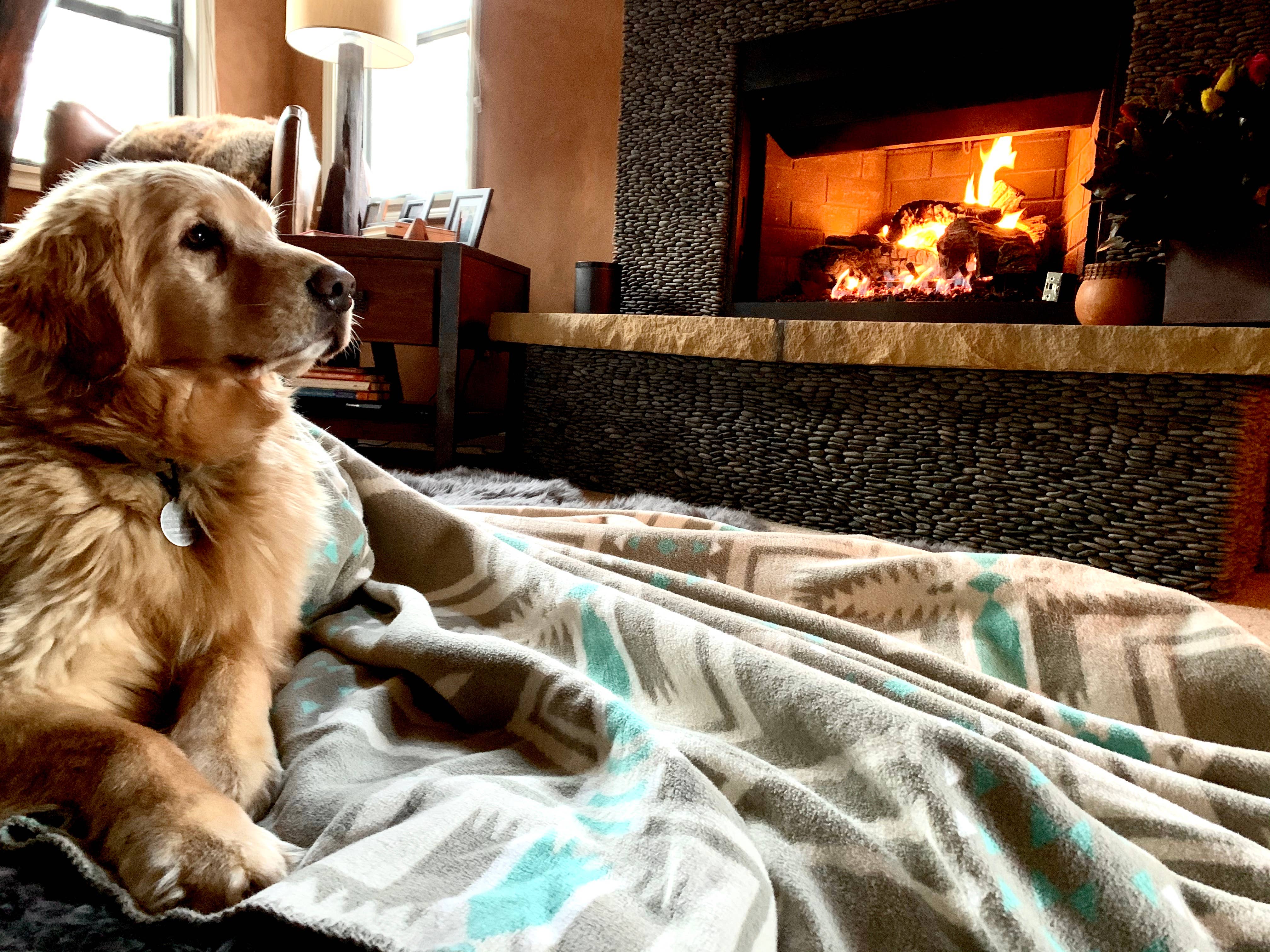 Follow Your True North - Wholesale Throw Blanket - Wasatch Blanket1