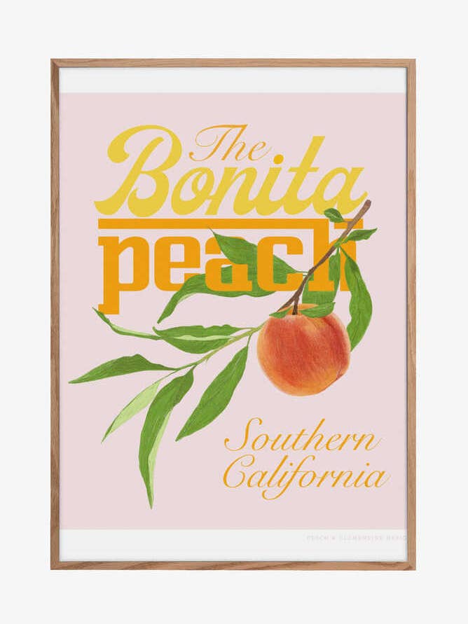 Pandcbonitapeach Kopie für den Großhandel von Pictufy Wholesale