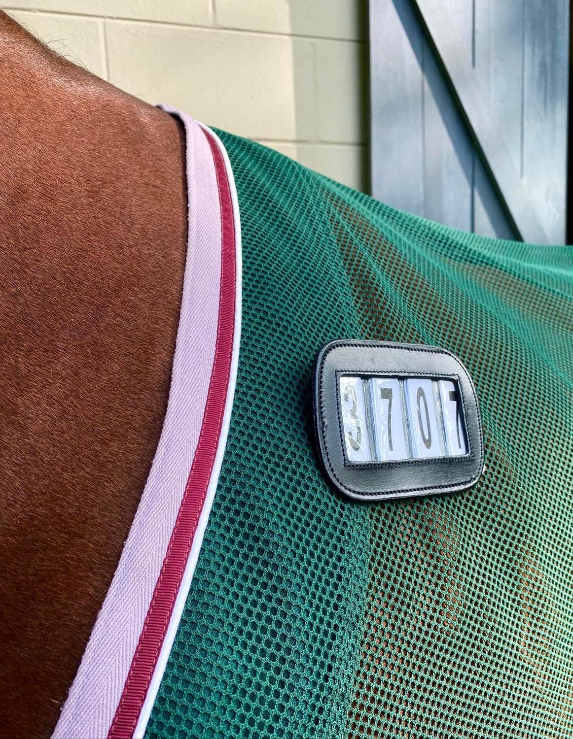 ACE Equestrian – Equipamento de equitação por atacado – PRO4MANCE | # I.D. - Preto (Pacote com 2, 4 dígitos)9