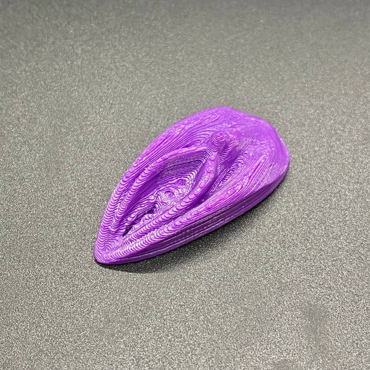 NumanPrints - Wholesale Gag Gift/Novelty Gift - Pussy Magnet! Stick On Magnetic Vulva! Prank/Gag Gift7