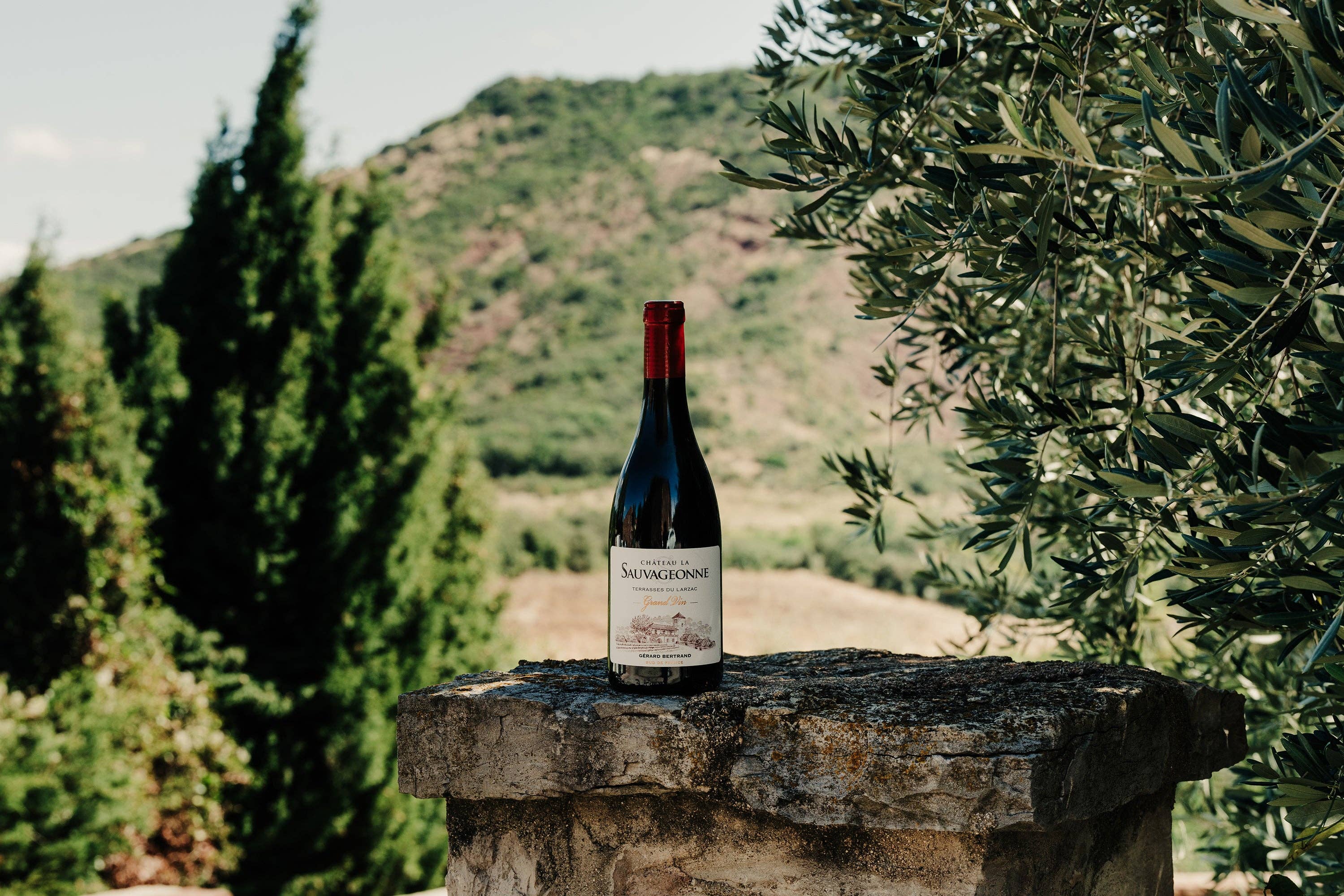 Gérard Bertrand - Wholesale Red Wine - Château La Sauvageonne Grand Vin Red 2022 75cl4