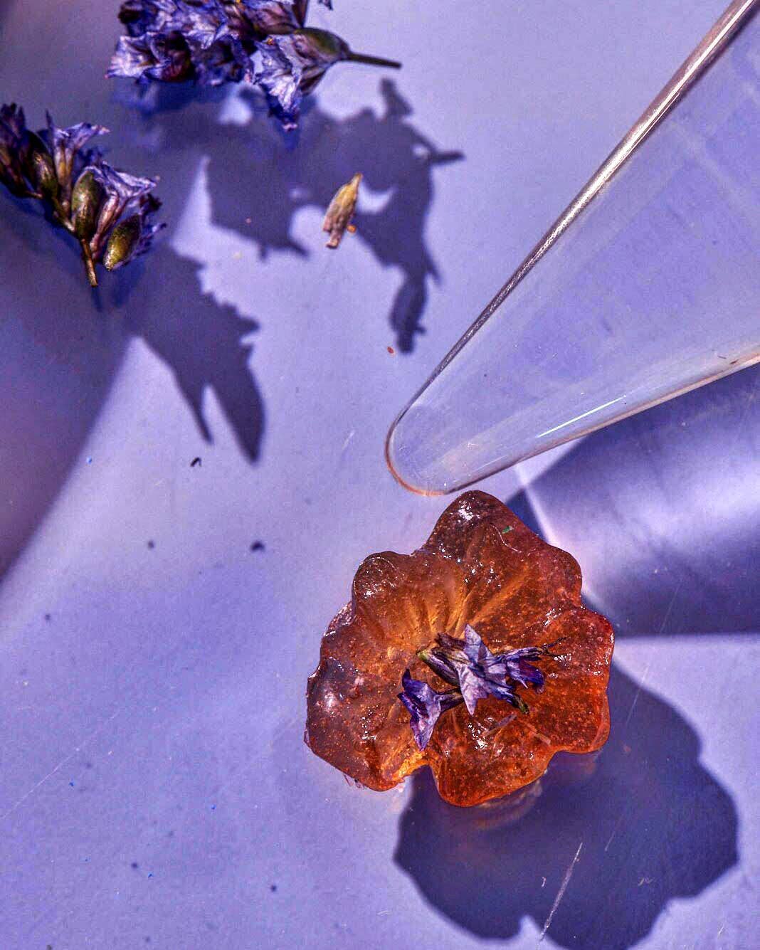 HRBLS - Wholesale Oral Supplement/Vitamin - HRBLS | Nerve Less5