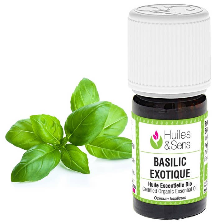 Huiles & Sens – wholesale Essential oil – exotic basil essential oil (organic) -15 ml