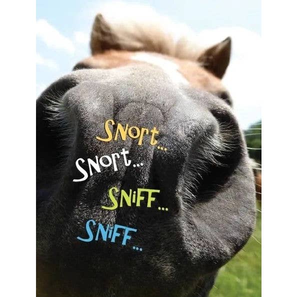 Horse Hollow Press - Wholesale Birthday Card - Horse Greeting Birthday Card / Sniff, Snort, Snort / Funny6