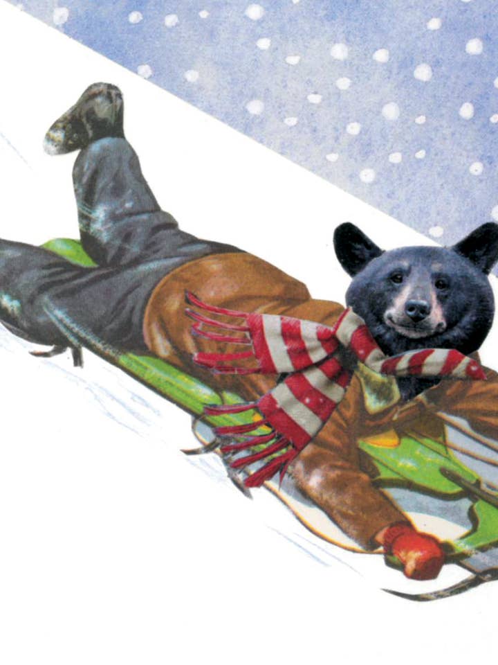 Slittino dell'Orso Nero per la vendita all'ingrosso da parte di Rare Bird