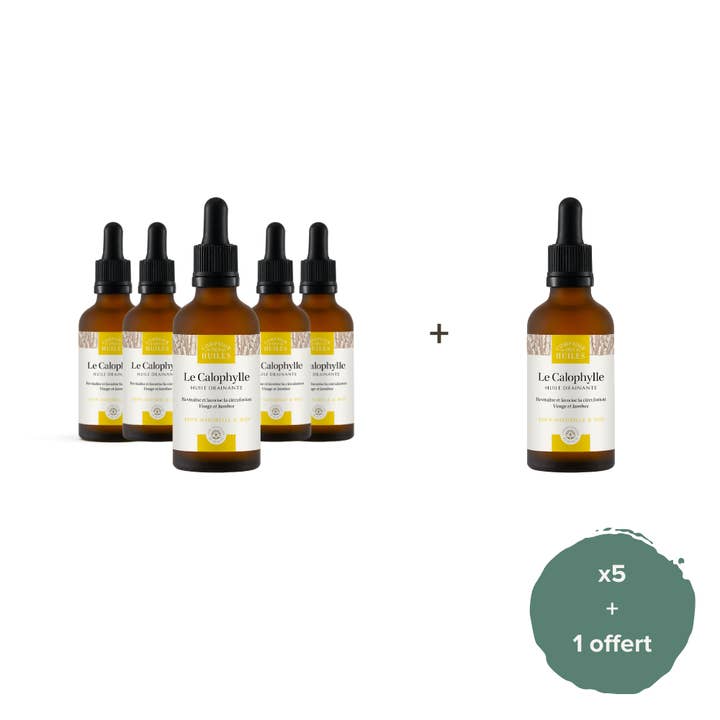 Pack of 5 + 1 - Calophylle Oil Organic - Skin and Body care for wholesale by COMPTOIR DES HUILES