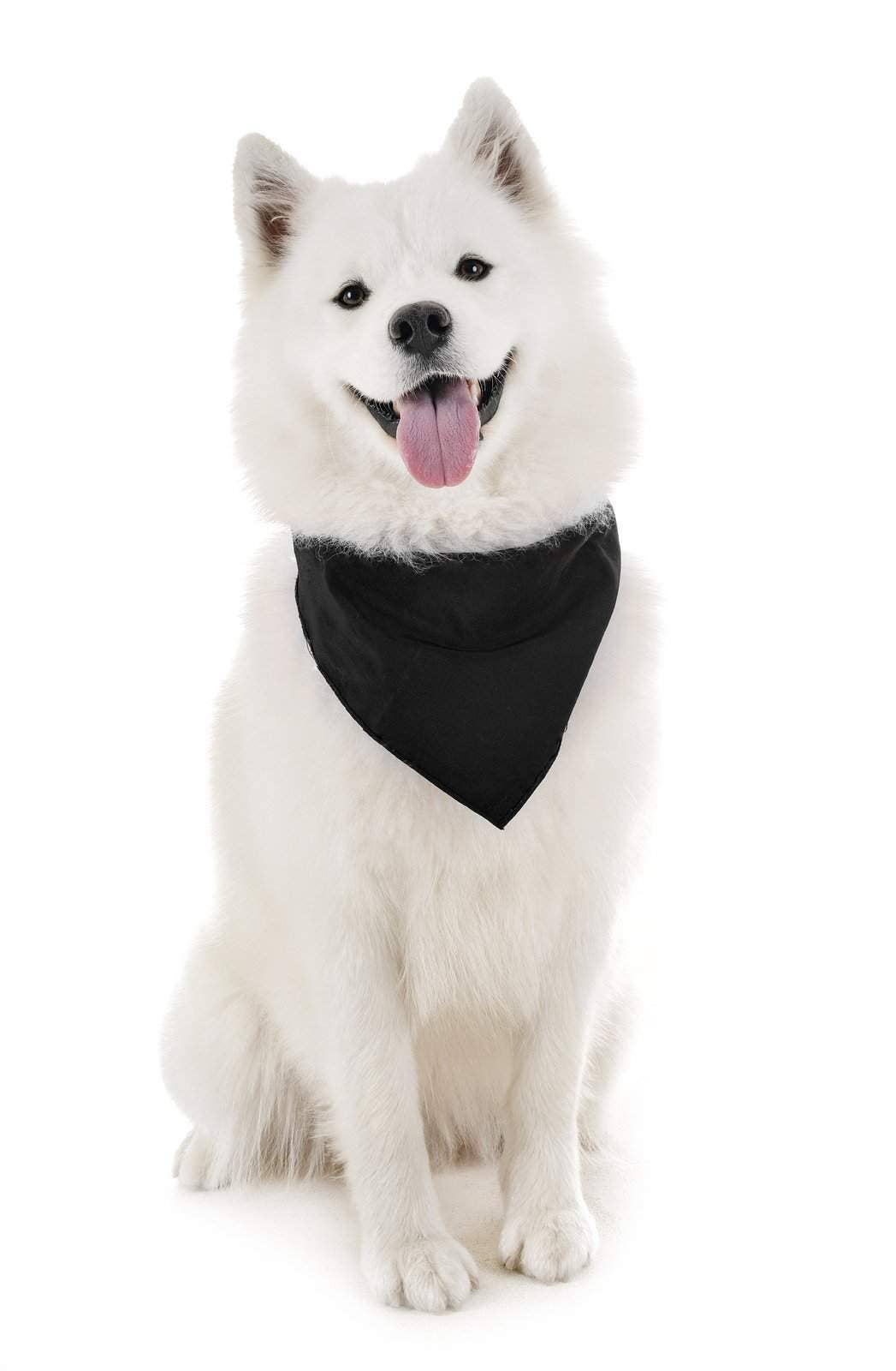 Auction Clearance - Vente Bandana – chien - Bandanas solides Balec pour chien, 4 pièces, écharpe et bavoir triangulaires pour tous les animaux de compagnie de petite, moyenne ou grande taille0