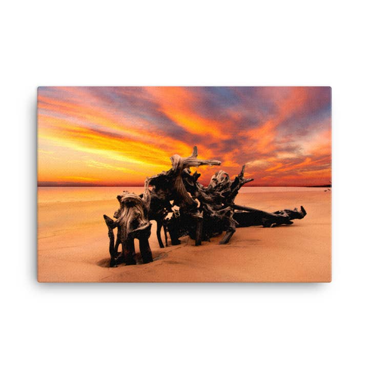 Árvores Secas Raízes Suneyard Praia Canvas Arte por atacado de Pipa Wall Art & Home Decor