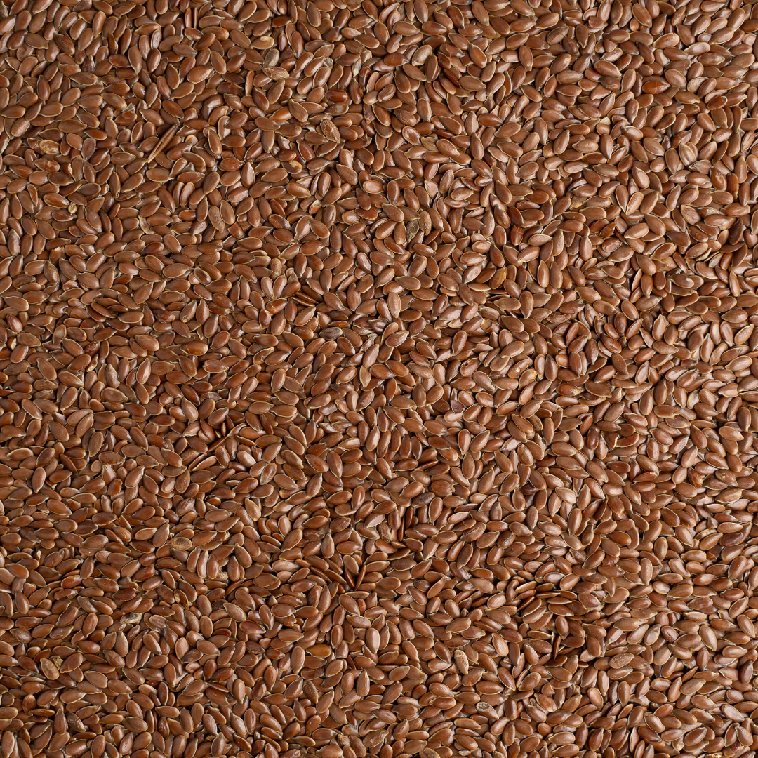 Top Seedz - Vente Graines - Graines de lin brun cru - 1 LB - 12 par caisse3