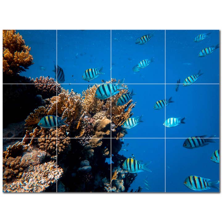 Sea Life Keramikfliesen-Wandbild PT500410 für den Großhandel von Picture-Tiles.com
