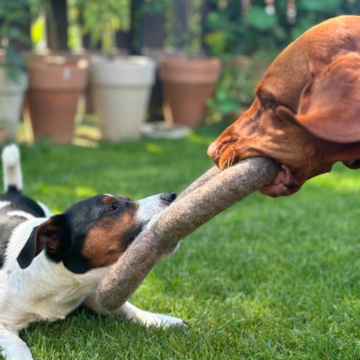 Wooliie - Wholesale Pet Toy - Dog - Alchemy Creation Infinity Ring - All-Natural Wool Dog Toy7