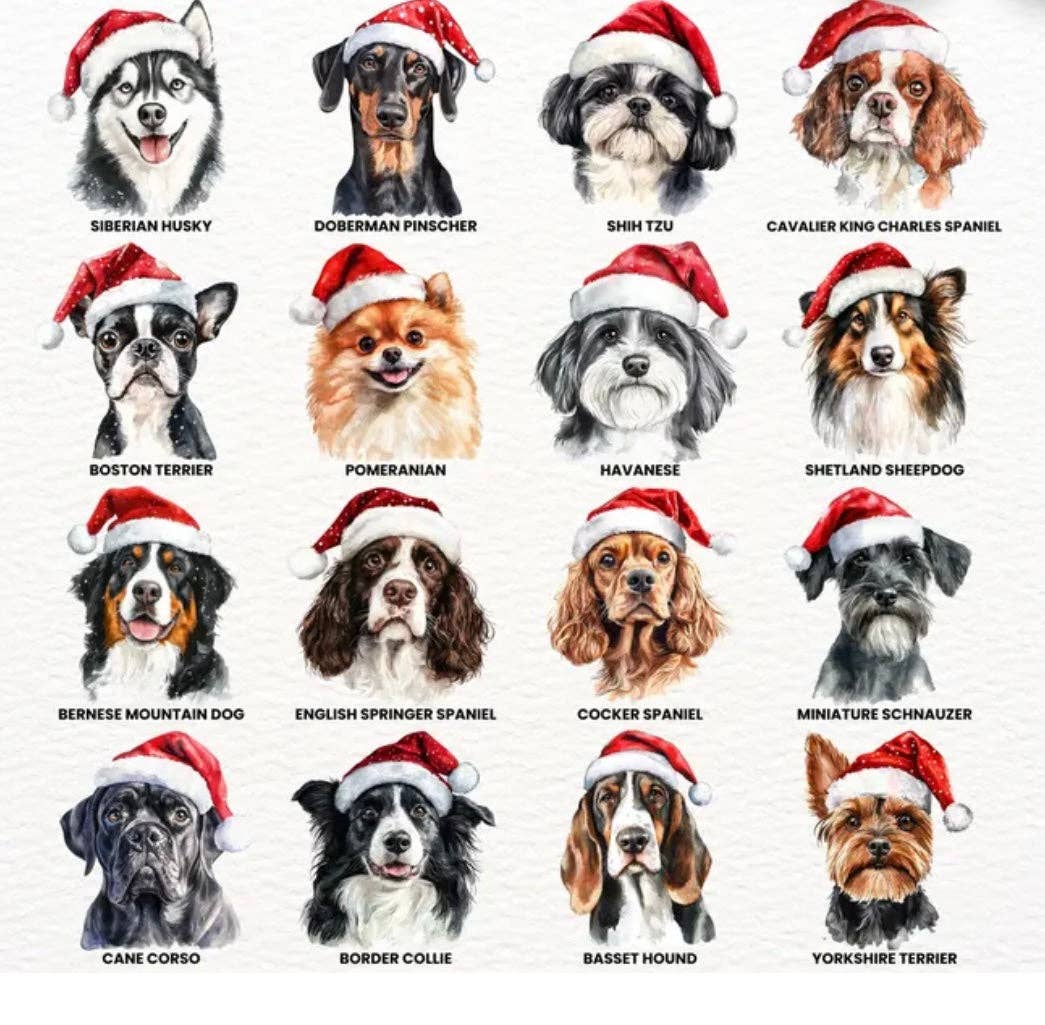 Cotton & Crate - Vente Coussin décoratif - Housse de Coussin pour Chien 45x45 cm2