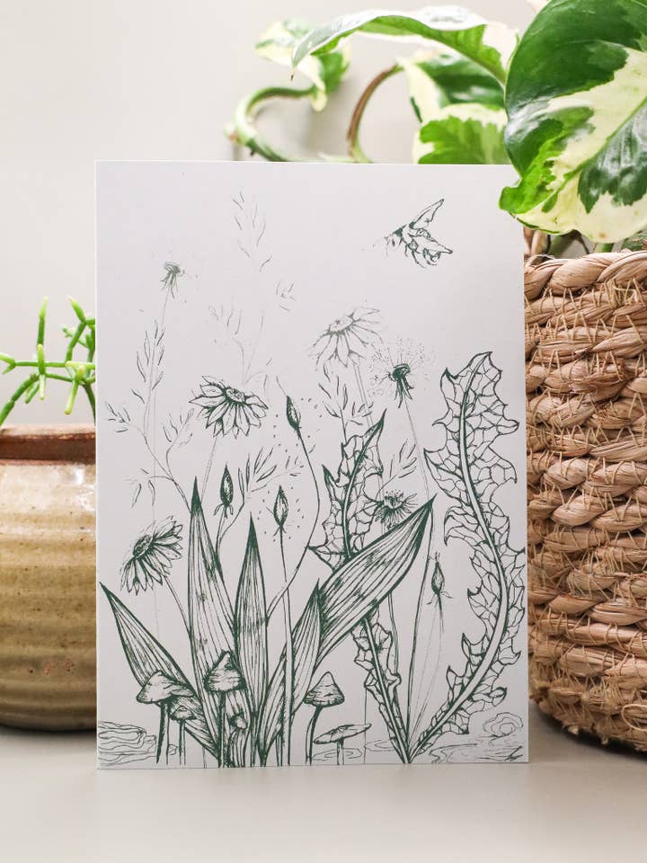 Meadow Flower Botanical Drawing Greeting Card for wholesale by Jya Raine