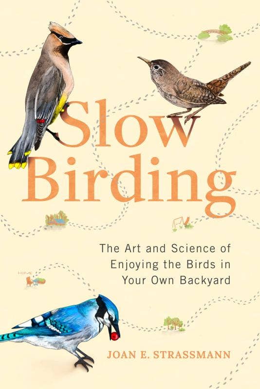 Microcosm Publishing & Distribution - Wholesale Nature & Outdoors - Slow Birding: Enjoying Birds in Your Backyard0