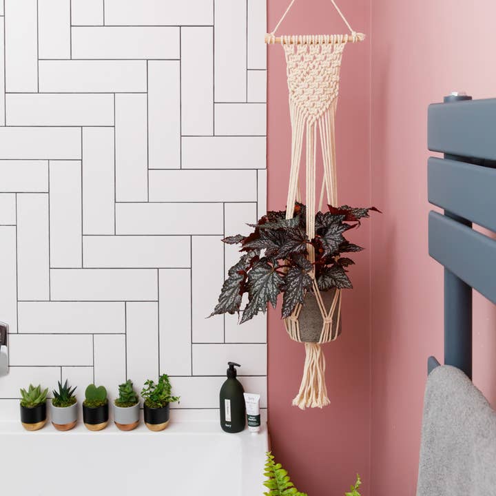 The Little Botanical - Wholesale Plant Pot - Natural Macrame Plant Hanger7