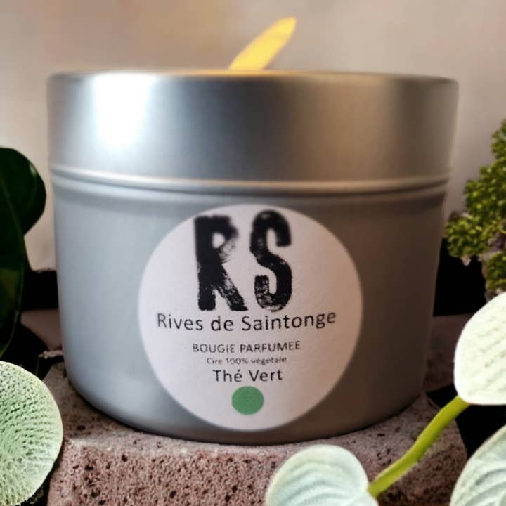 Candela al tè verde naturale per la vendita all'ingrosso da parte di RIVES DE SAINTONGE