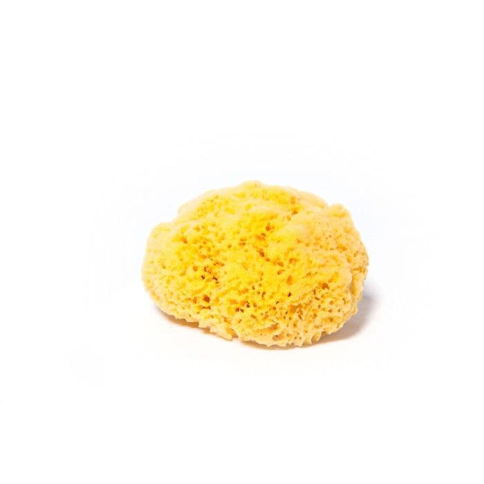 Sponges Direct – Engroshandel Badesvamp – Gule havsvampestykker1