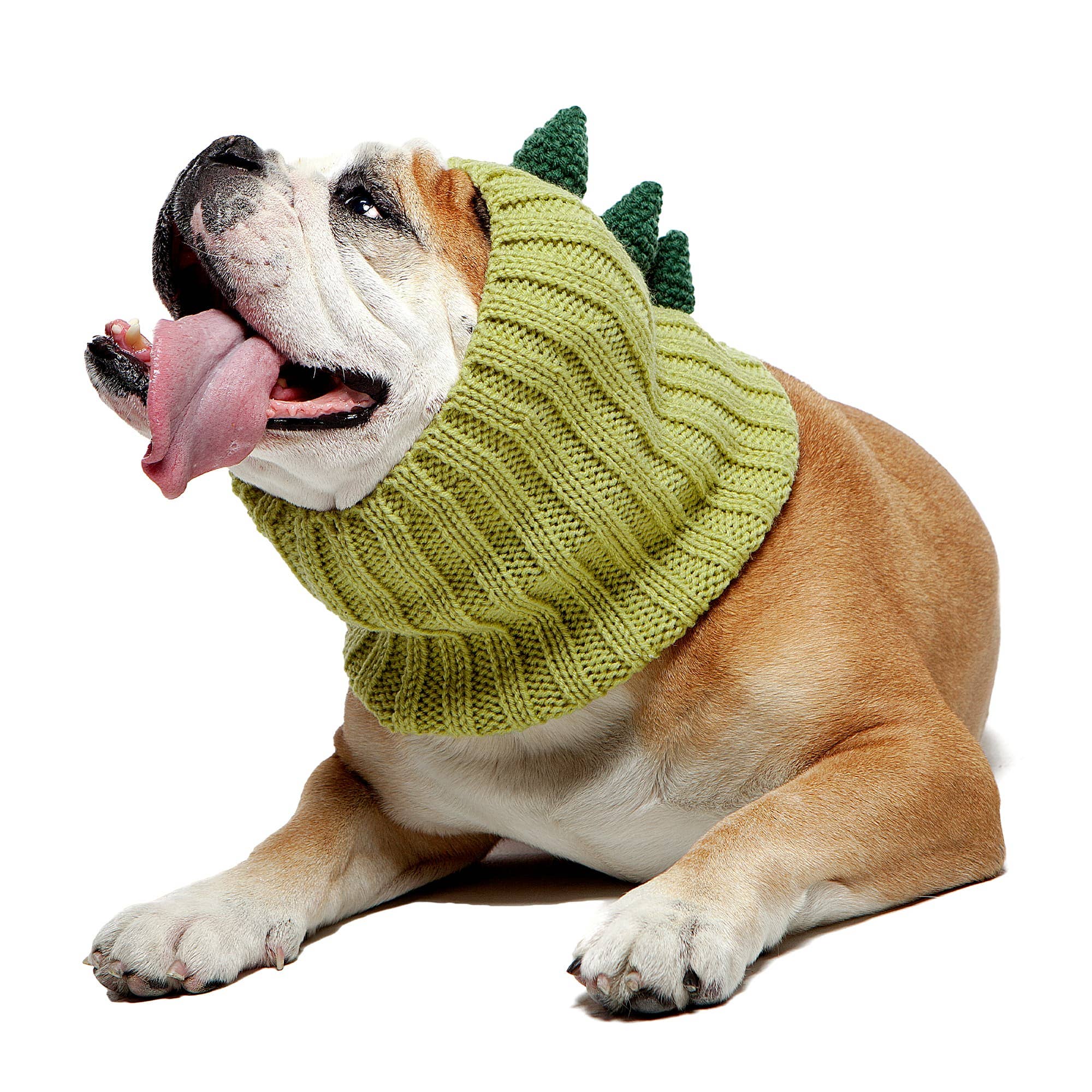 Zoo Snoods - Wholesale Pet Snood - Dog - Dinosaur Dog Snood10