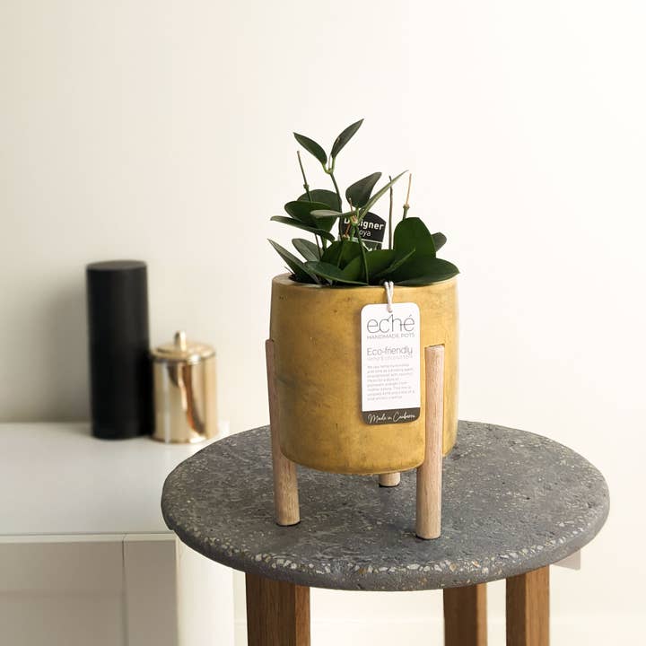 Eché pots - Wholesale Plant pot - Hemp & Coconut fibre 3-Leg Pot, Handcrafted in Australia3