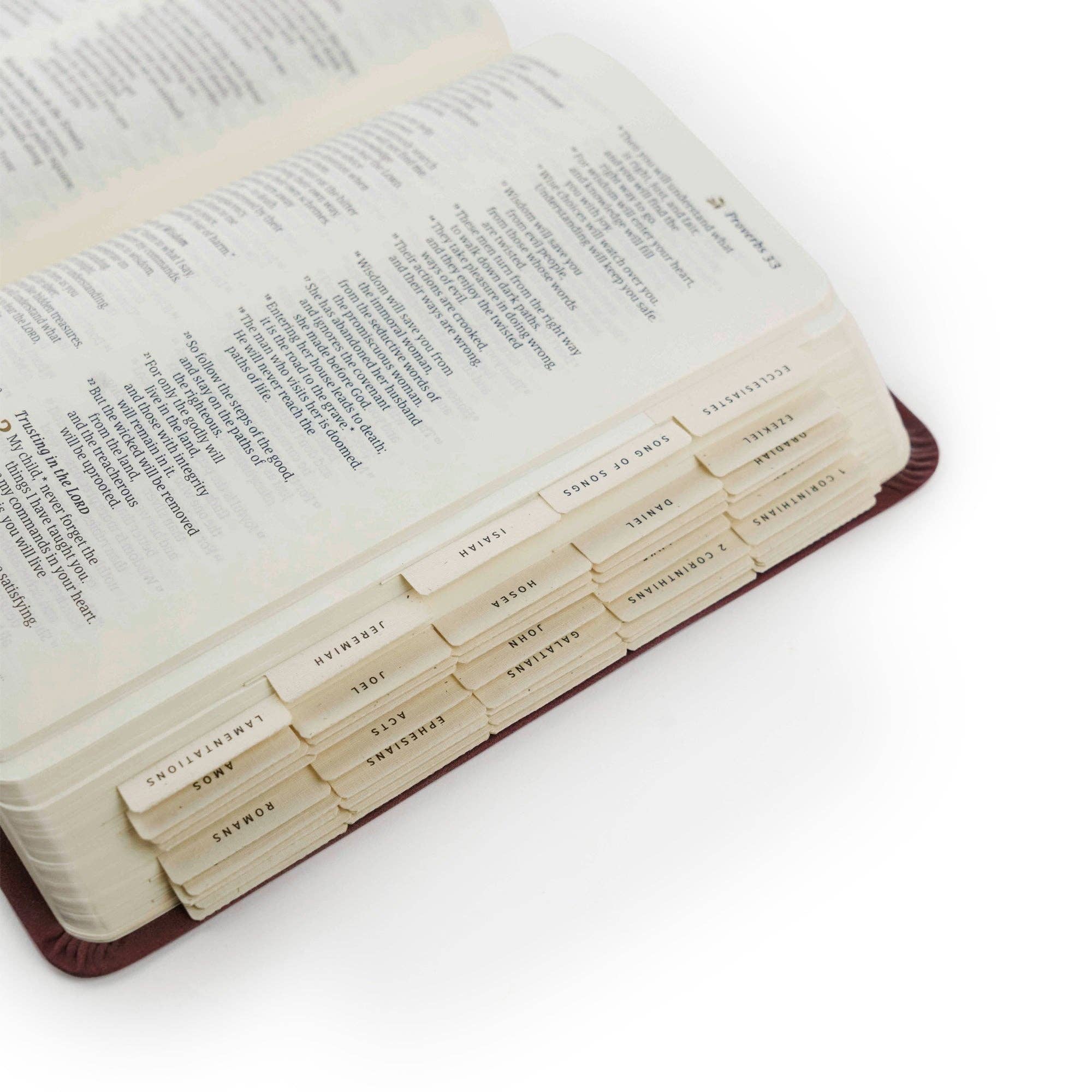 Hosanna Revival - Wholesale Bookmark - Bible Tabs: Black Foiling10