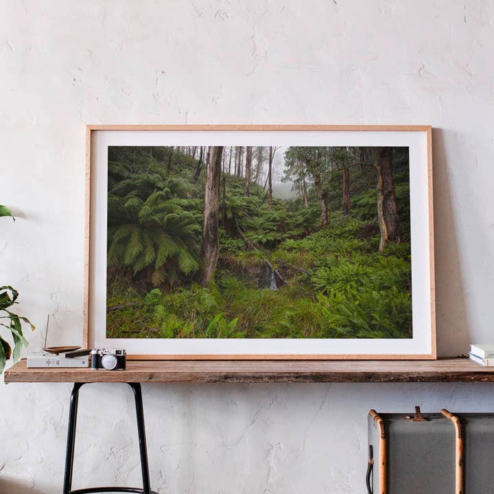 12 juin 2014 - Parc national des Alpes australiennes, Australie pour la vente par Jess Gibbs Photography