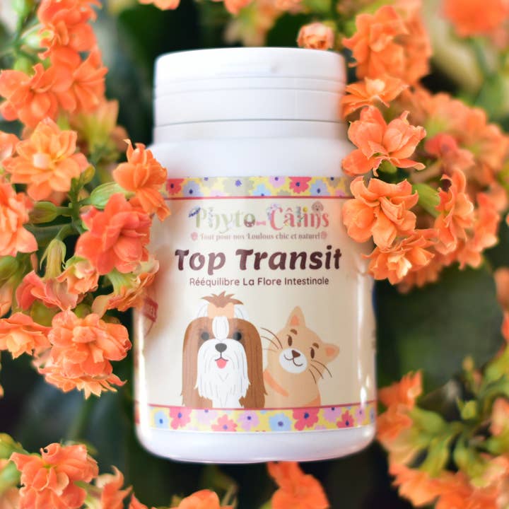 Intestinal Disorders/Vegetable Charcoal & Propolis for wholesale by Phyto-Câlins