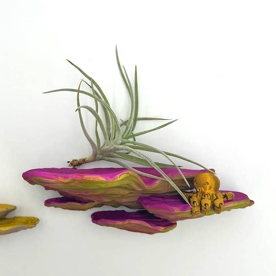 Brehmwood Creative - Wholesale Wall Mounted Shelf - Shimmering Ostrea Floating Shelf - Unique Fungus Design in 6 Colors, Perfect Home Decor0