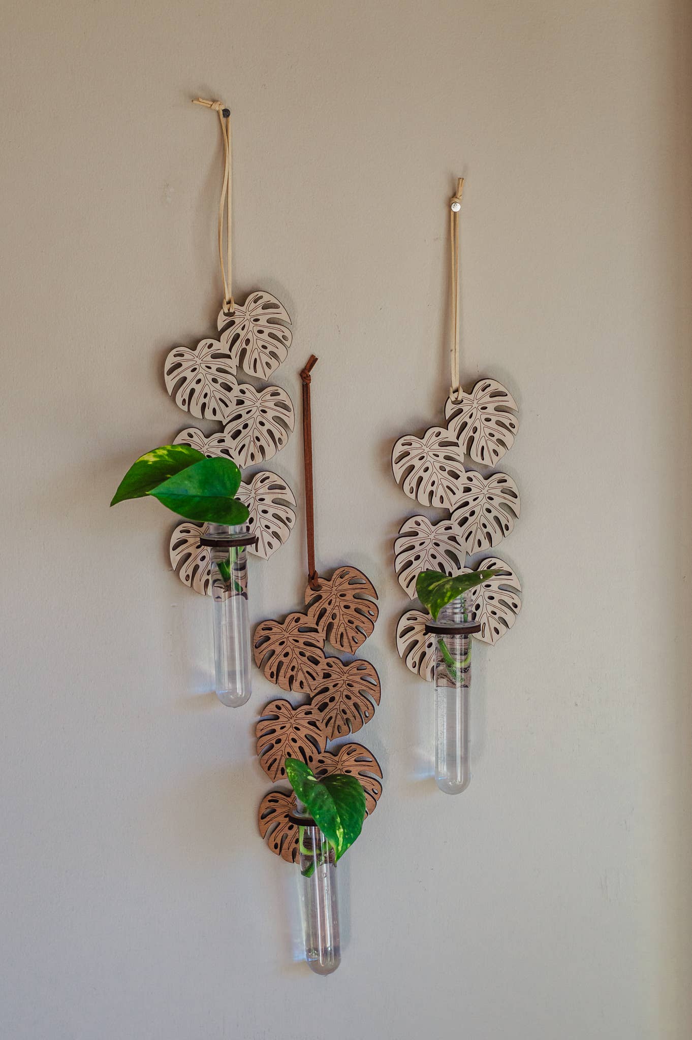 PlantsNsht - Wholesale Hanging Planter - Monstera Hanging Propagation Station - Choose Your Color1