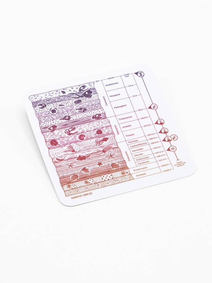 Muestra de núcleo (Caja de 15) para venta al por mayor de Cognitive Surplus