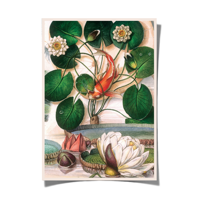 Bomo Art Budapest - Wholesale Art Print - Bomo Print A40