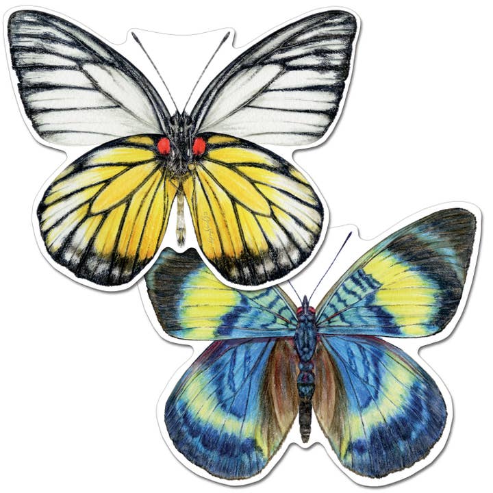 Placemat de fácil cuidado em forma reversível de borboleta por atacado de CounterArt/Highland Home/Thirstystone