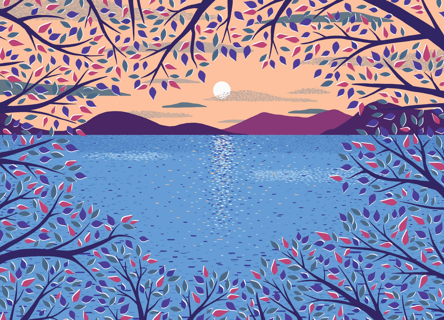 Tom Hardwick – wholesale Postcard – A View Through the Trees Postcard0