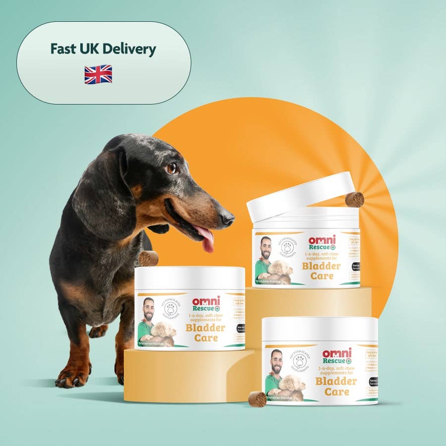 Omni - Venta al por mayor Suplemento - Perros - Omni Rescue - suplemento de ‘Cuidado de la Vejiga’7