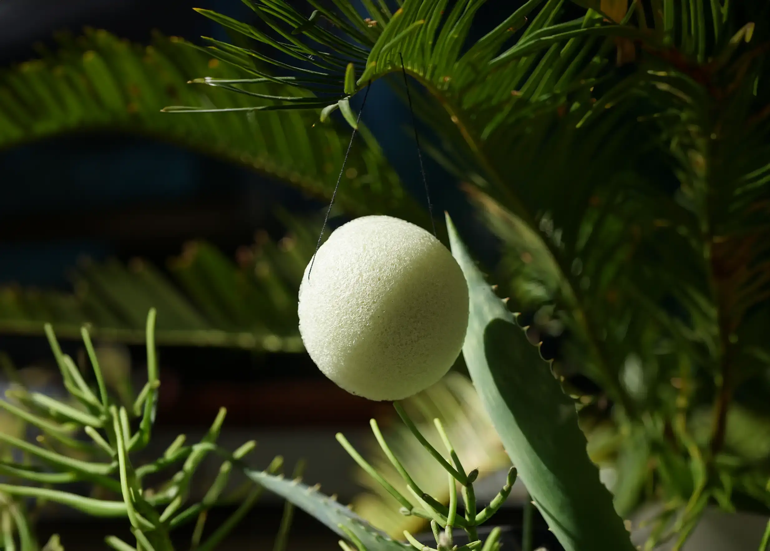 Karawan Authentic - Wholesale Bath Pouf/Sponge - Organic Konjac Sponge Enriched with Aloe Vera, Bulk3