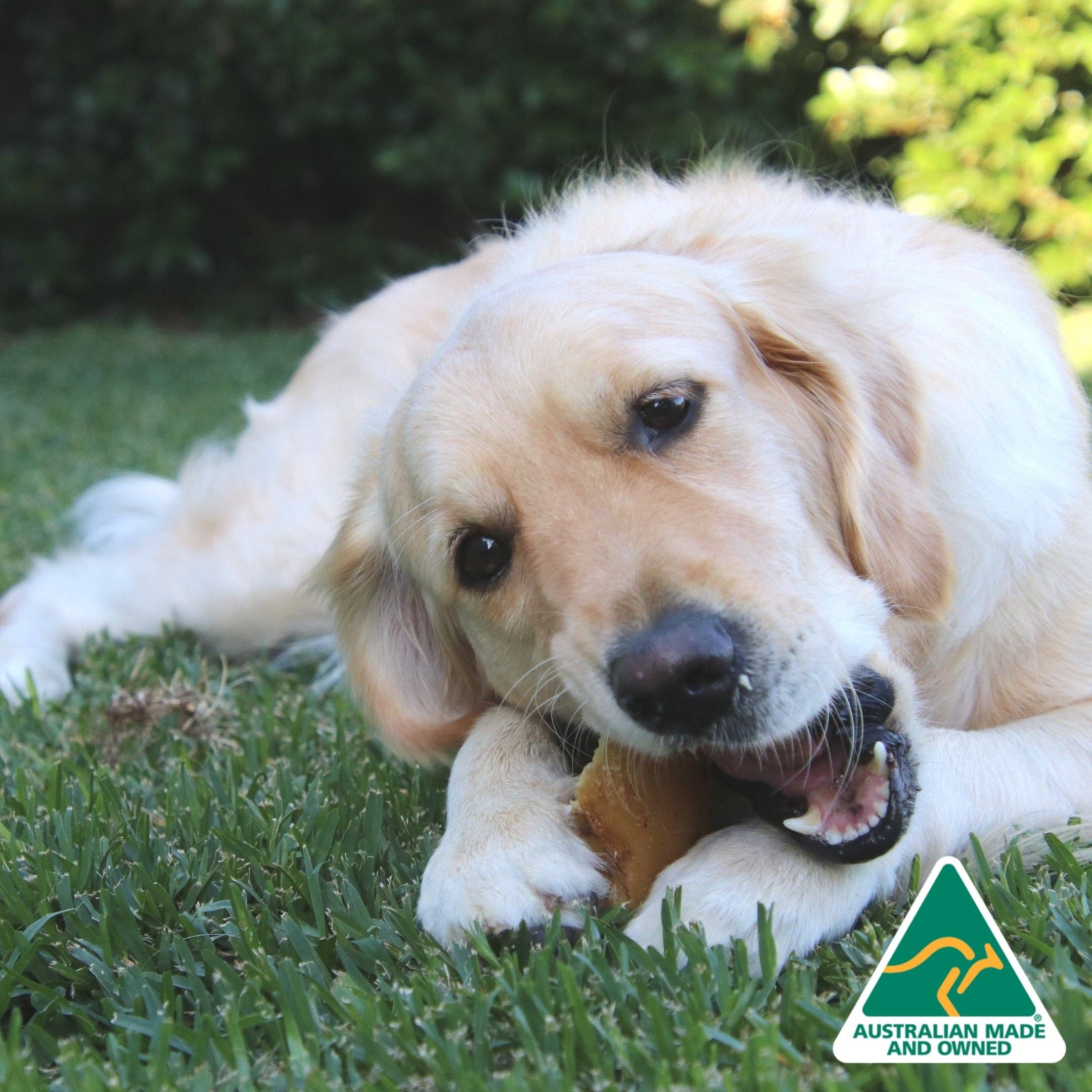 Rover Pet Products - Wholesale Pet Treats - Dog - Hooves There? - Cow Hooves7