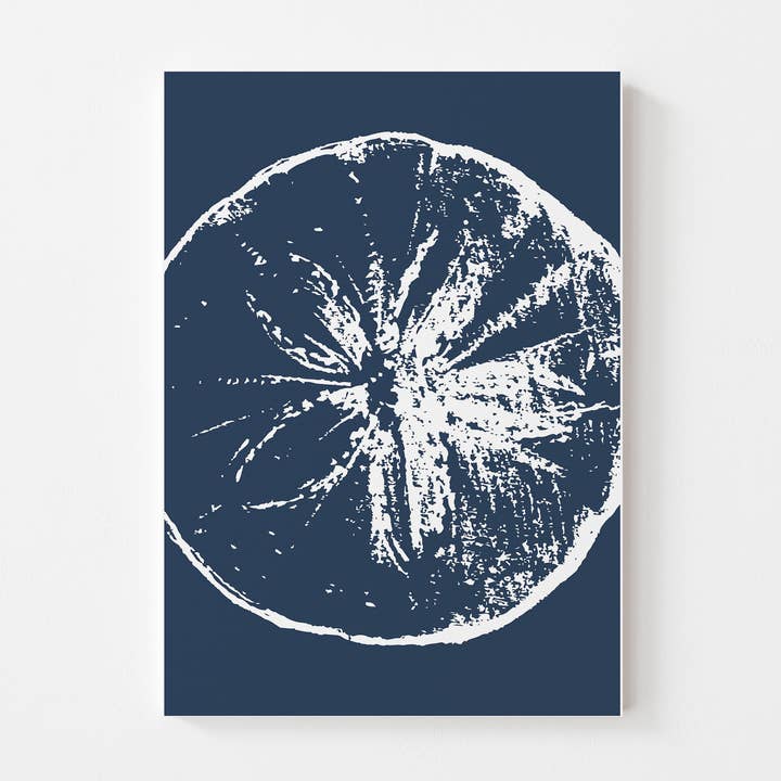 Modern Coastal Sand Dollar Art Print for wholesale by Nak print co.