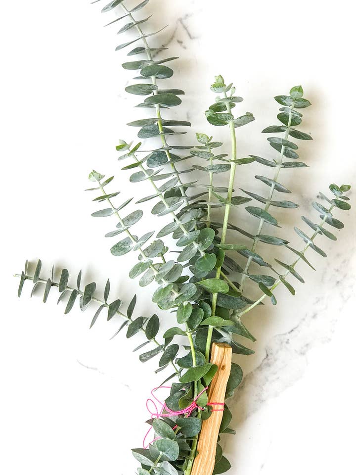 Fixe de eucaliptos e Palo Santo por atacado de Kala Handmade With Love