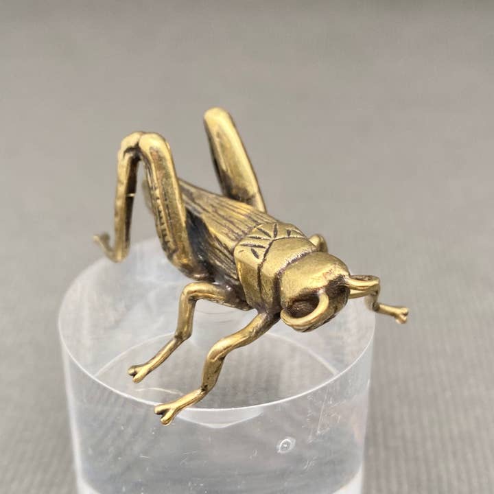 Mio Queena - Wholesale Decorative Figurine - Brass Cricket Desktop Ornaments Decoration5