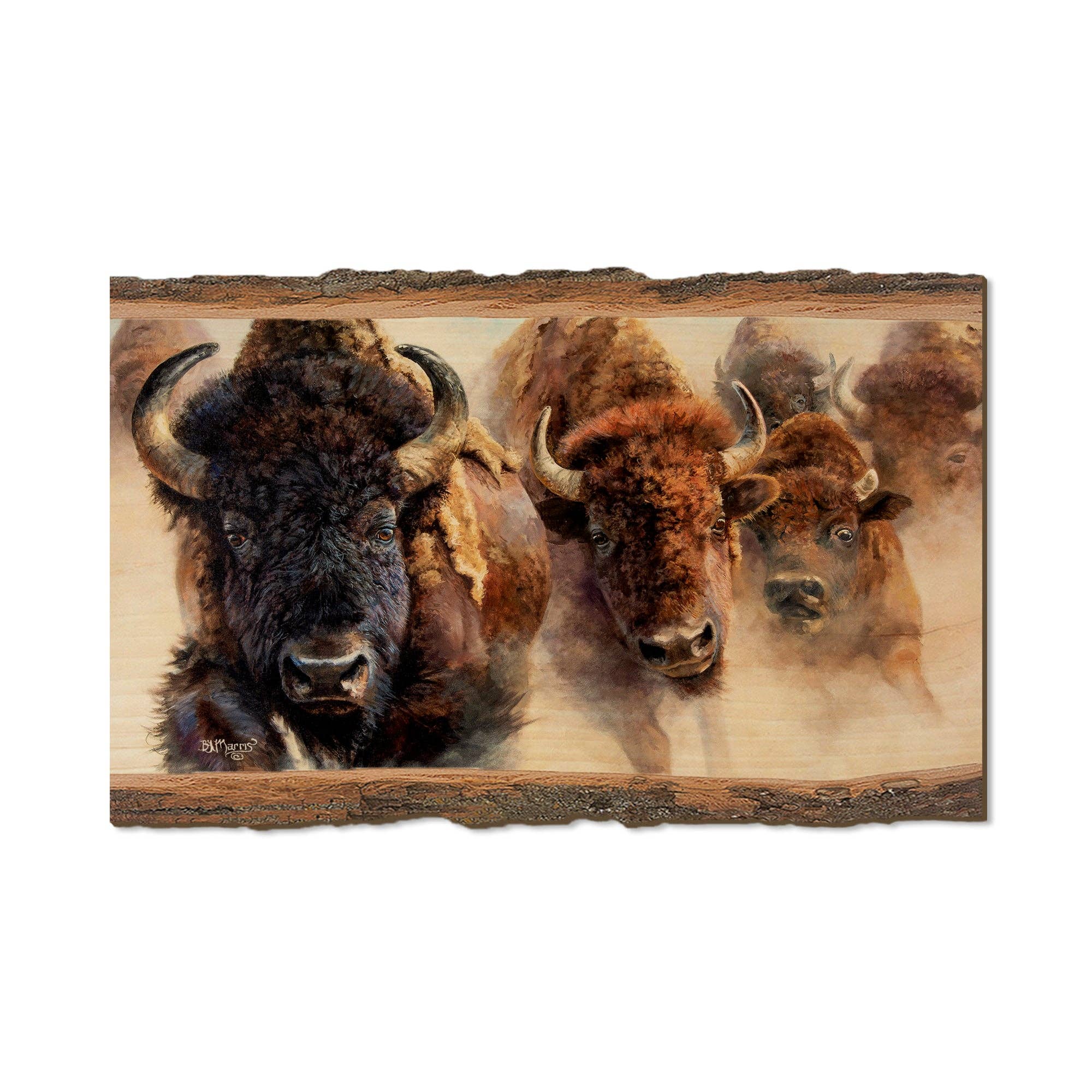 DaydreamHQ - Wholesale Postcard - Marris' The Stampede - Live Edge4